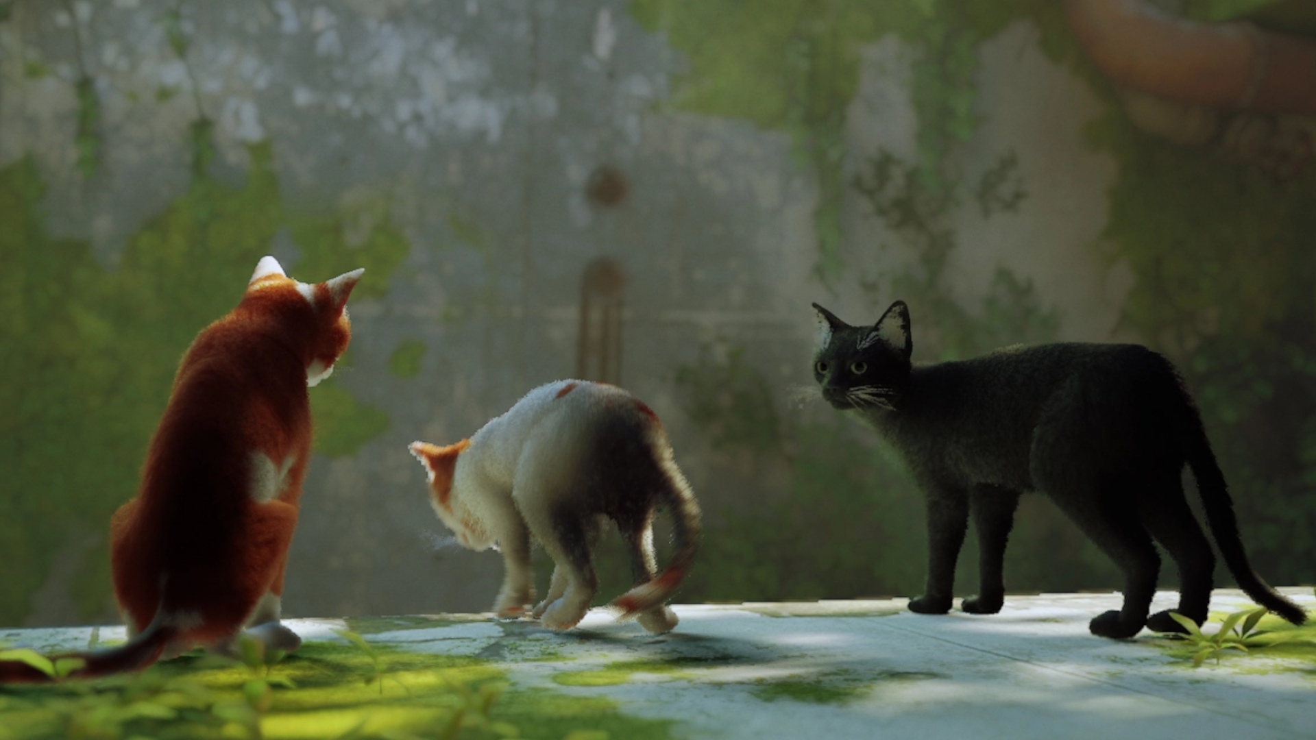 Stray review: The game where you play as a cat is a meow-sterpiece